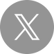 x logo